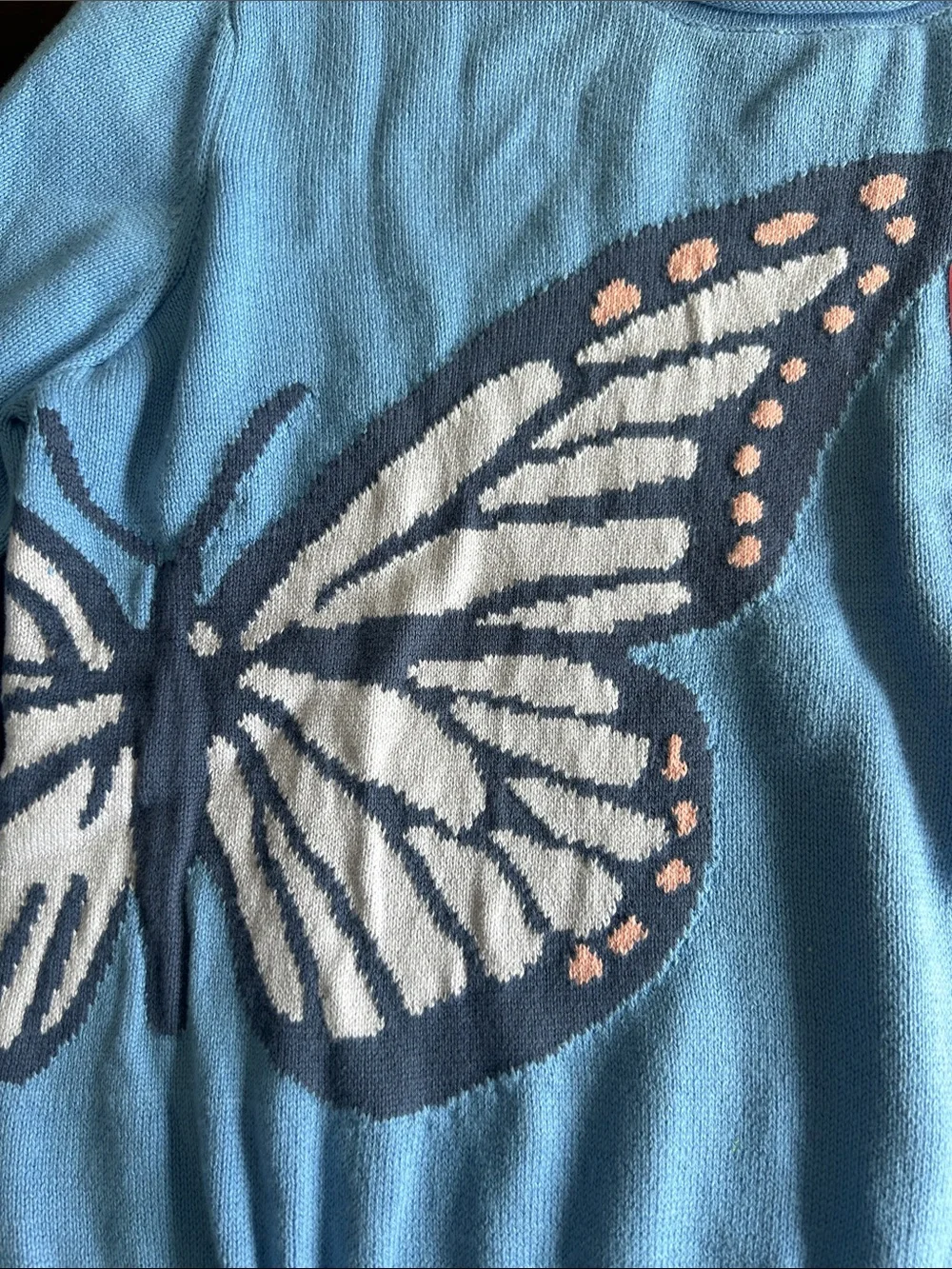 GAP Kids Blue Butterfly Pullover Sweater